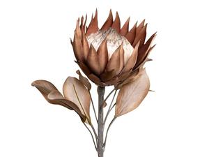 Decor: Dried Look Protea Large