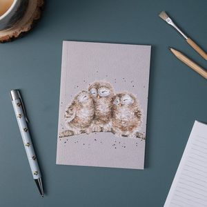 'Owlets' Owl A6 Notebook