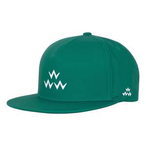 BIRDS OF CONDOR ON THE GREEN SNAPBACK