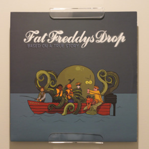 12" vinyl record wall display