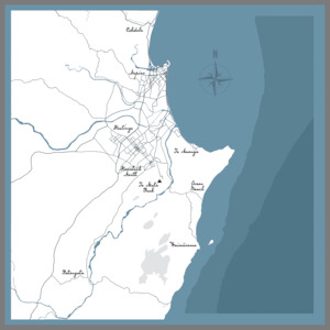 Custom Coastal Contour Map - premium