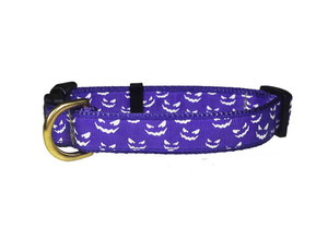 Products: 19mm Wide Haunter Collar Bow Wow Boutique NZ