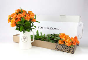 Flowers: Orange Rose Blooms