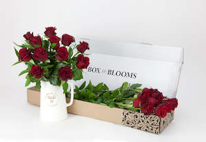 Flowers: Red Rose Blooms (1 Dozen)