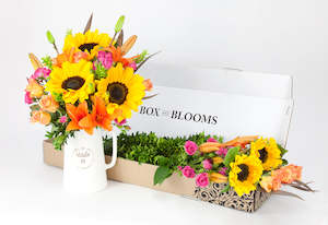 Flowers: Bright Mixed Blooms