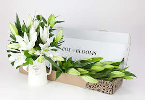 Flowers: White Lily Blooms