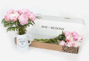 Flowers: Pink Peony Blooms