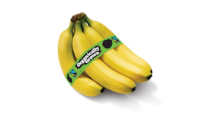 Organic Produce: Organic Bananas 800g