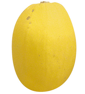 Indian Vegetables 1: Pumpkin Squash Spaghetti Each