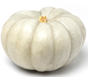 Indian Vegetables 1: Pumpkin Crown (Small-Medium)