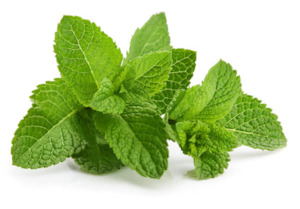 Herbs Mint 1kg Bag