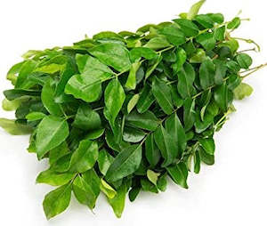 Herbs Curry Leaves P/P