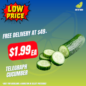 Cucumber Telegraph (Product of New Zealand)(Small Size)