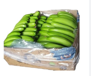 Fresh Fruits 1: 13Kg Box Banana Green