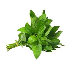 Fresh Herbs 1: Mint 2 Bunches