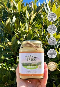 Creamed Clover Blend Honey 500g - Branch Creek Honey