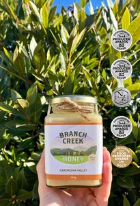 Products: Creamed Clover Blend Honey 500g - Branch Creek Honey