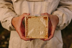 Comb Honey 400g - Branch Creek Honey