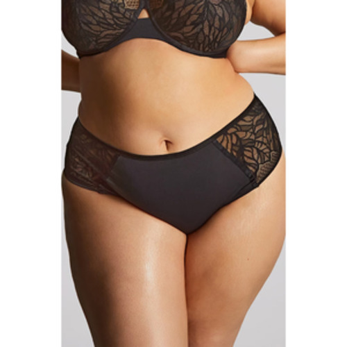 BRIEFS Everyd: Panache Sculptresse Sophia Brief - BRIEFS-Everyday Briefs : Hot Gossip - NZ Bra Online Bra - Panache