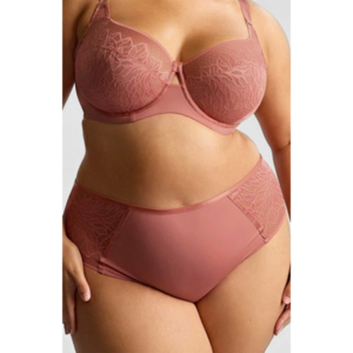 Panache Sculptresse Sophia Brief - BRIEFS-Everyday Briefs : Hot Gossip - NZ Bra &hellip;