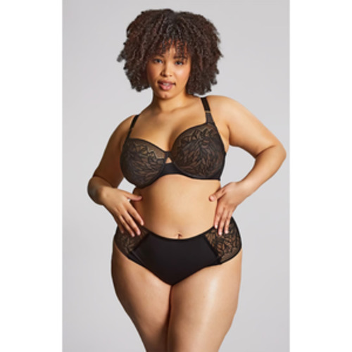 BRAS : Hot Go: Sculptresse Sophia Full Cup Bra - Everyday Bras Style Bras Hot Gossip - NZ - Panache