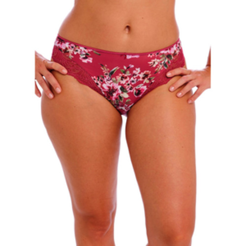BRIEFS Everyd: Fantasie Lucia Brief - BRIEFS-Everyday Briefs : Hot Gossip - NZ Bra Online Bra - Fantasie