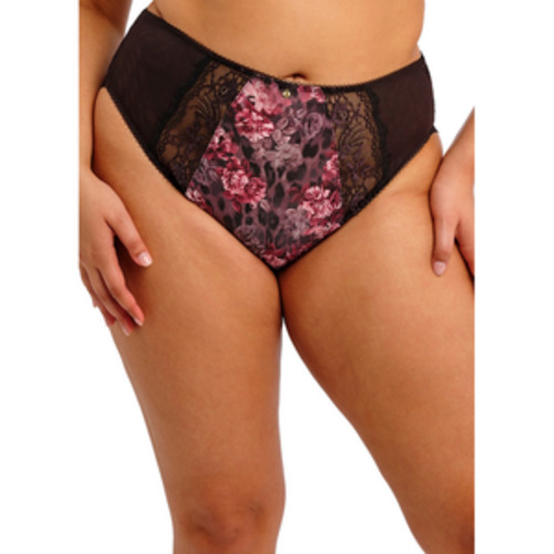 Elomi Morgan Hi Leg Brief - BRIEFS-Fuller Figure Briefs : Hot Gossip - NZ Bra On&hellip;