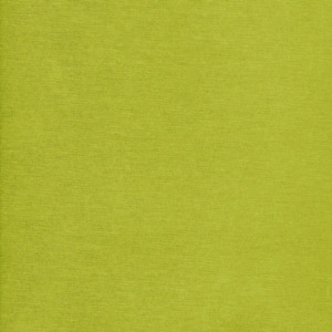Plain Avocado Green Outdoor