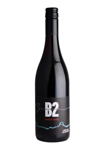 2018 B2 Pinot Noir