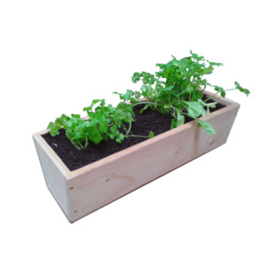 Macrocarpa Herb Planter - 600L
