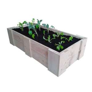 Products: RAISED VEGETABLE PLANTING BED (1200L x 600W x 300H)