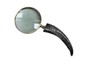 Horn Magnifying Glass Gold Case