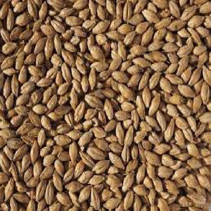 GLADFIELD BISCUIT MALT 500g 5kg - Brew Northland