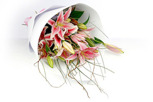 Lotsa Lilies Bouquet, prices from. Briar Rose Flowers