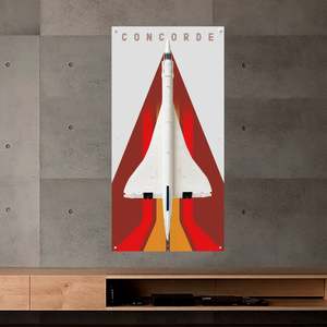 BrickFans Premium Acrylic Display Panel for LEGO® 10318 Concorde
