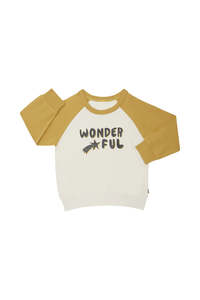 All: Wonderful Soft Threads Pullover