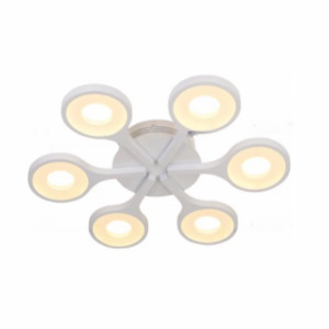 Round White Cover With Wooden Border Celling Light