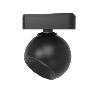 Outdoor Lighting: LX-Plus-MBO-A 12W LED Track Light