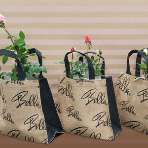 Rose Pot with Eco Bag