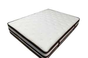 Mattress: Fiona Eurotop Mattress - Queen