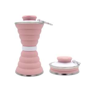 Home Garden: Collapsible Water Bottle - Pink