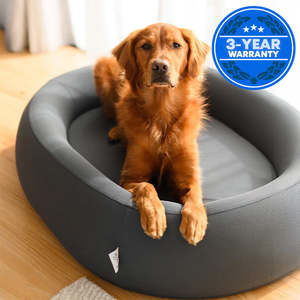 Pets: Brooklyn® Cooling Nest Dog Bed