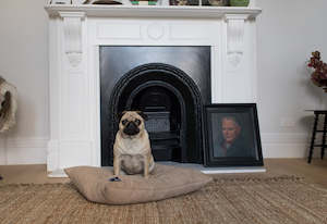 Pets: Buddy Cover Faux Suede