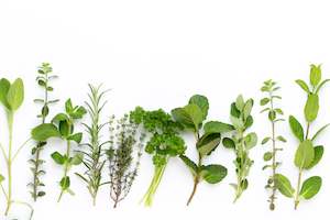 dogs: Grain Free Dog Mix Replacement- Herbal Health Blend