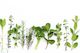 Grain Free Dog Mix Replacement- Herbal Health Blend