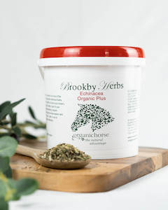 dried horse: Echinacea Leaf