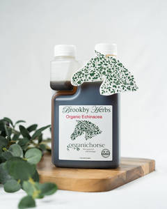 Echinacea Organic Plus for Horses – Natural Immune & Respiratory Support