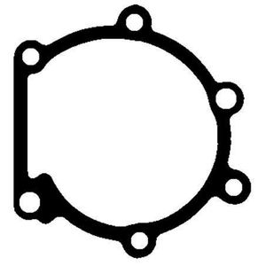 Products: Water Pump To Block Gasket