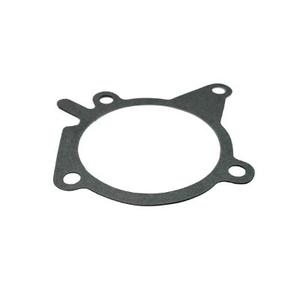 Water Pump Gasket