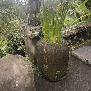 All Test: 25463 Concrete Pot 550 x 500 x 600H